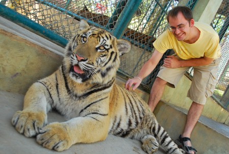 First time touching a tiger