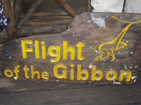 Flight of the Gibbon Sign